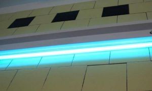 Lampe bactéricide pour grêlons pour enfants - avantages et inconvénients