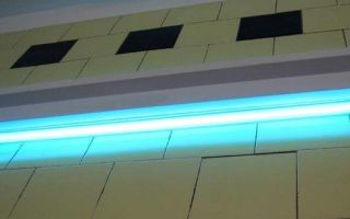 Lampe bactéricide pour grêlons pour enfants - avantages et inconvénients