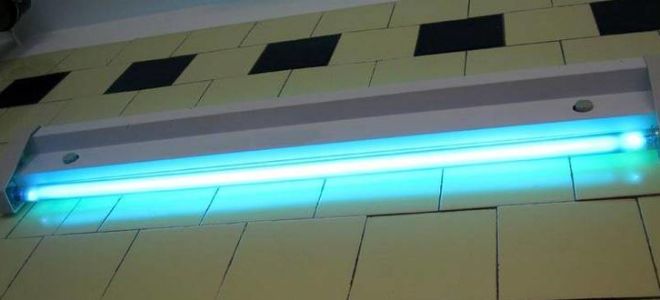 Lampe bactéricide pour grêlons pour enfants - avantages et inconvénients