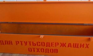 Conteneur pour le stockage sur une lampe fluorescente: caractéristiques et règles d'utilisation