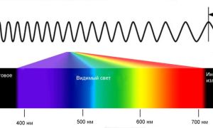 Lampe ultraviolette pour la désinfection des locaux : sélection et application