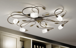 Comment pompez-vous le polyley avec votre propre si riytse: méthodes et types d'éléments de fixation