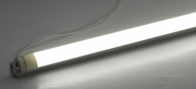 Lampe fluorescente 36 W : caractéristiques, longueur, durée de vie