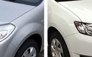 Broyé dans des bols avec des tailles et y compris Renault Sandero