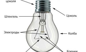 Ventre sur le lampat du menton pressé : 5 de départ pour la fin