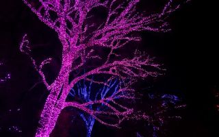 Guirlande de rue varhu durveta : laquelle on va choisir, idées déco