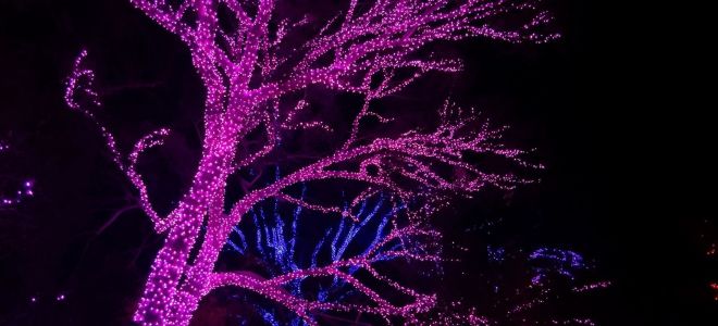 Guirlande de rue varhu durveta : laquelle on va choisir, idées déco