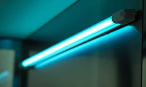 Une lampe bactéricide pour les maisons: pour quoi et comment on choisit