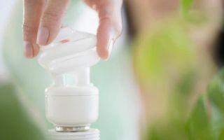 Envoyer l'auto-réparation à la lampe à économie d'énergie