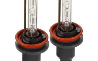 Xenon H11 dans l'obscurité pour l'obscurité : selon votre choix 4300K, 5000K ou 6000K