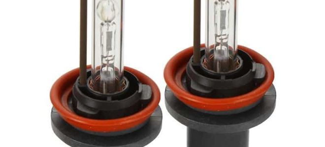 Xenon H11 dans l'obscurité pour l'obscurité : selon votre choix 4300K, 5000K ou 6000K