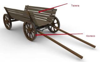 Kolelo pour polyleys: comment l'envoyer vous-même, note sur les modèles nai-kind