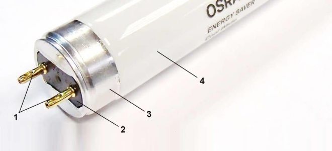 Lampe fluorescente g13: base, comment vous caractéristiques