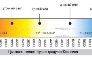 Lampes LED pour maisons et appartements: classement, comment choisir la qualité