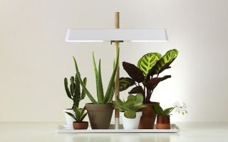 Phytolampe LED DIY pour plantes