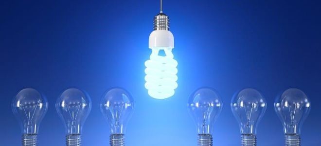 Lampes économes en énergie : comment choisir quelque chose de mieux