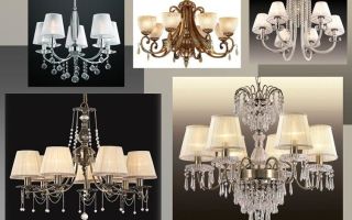 Kakvi polylei oui choisir pour opnati tavani (+ photo)