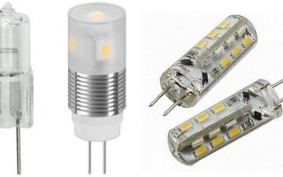 Base g4 : taille et application