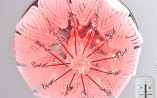 Polylays LED avec télécommande : comment nous choisissons