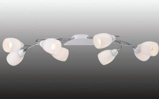 Polilei à Zalata: comment choisir les règles (photo)