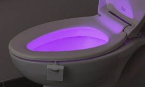 Éclairage par toilette ss capteur par mouvement : selon votre choix (image)