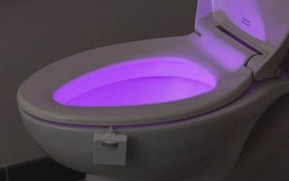 Éclairage par toilette ss capteur par mouvement : selon votre choix (image)