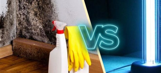 La lampe à quartz a-t-elle aidé à couper le muhl et à mouler