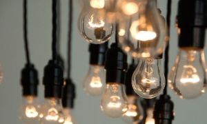 L'histoire de l'invention d'un lampat avec un bac à litière