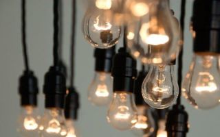 L'histoire de l'invention d'un lampat avec un bac à litière