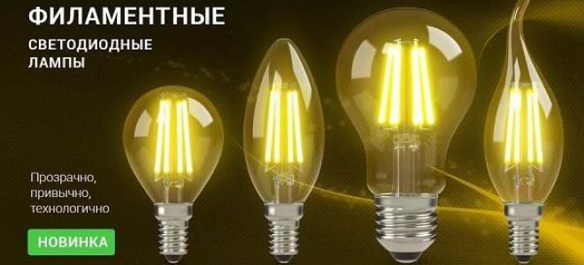 Lampi avec une boisson chaude : caractéristiques, comparaison, avantages