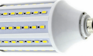 Lampe LED Tsarevich: principaux avantages et inconvénients