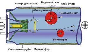 Lampe fluorescente 18 W : caractéristiques, longueur, schéma sur le lien
