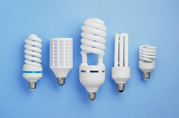 lampes économes en énergie, mangé