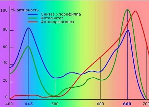 Graphique pour la photosynthèse