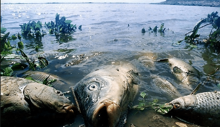Après tout, ils vous verront de tout