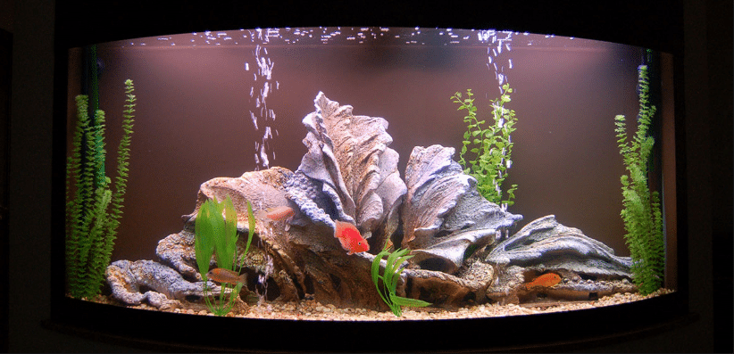 Clarification combinée