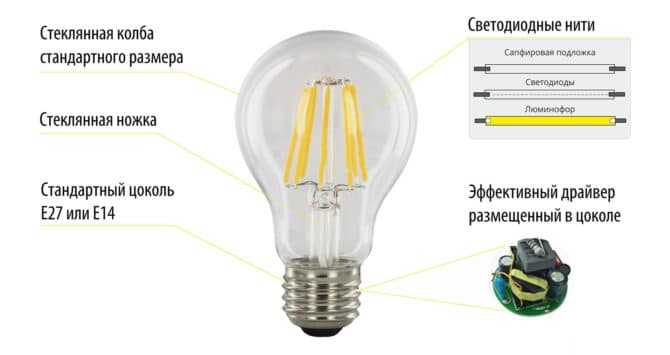 Quelles sont les lampes et quelles sont les spécialités ?