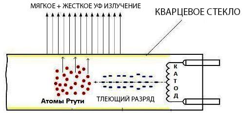 lampe à quartz zhivochna