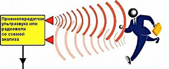 travailler sur l'échographie