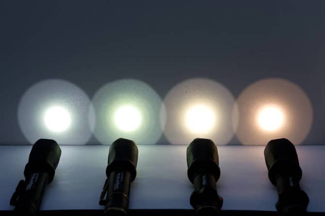 Fleur sur svetlinata sur fenerceto