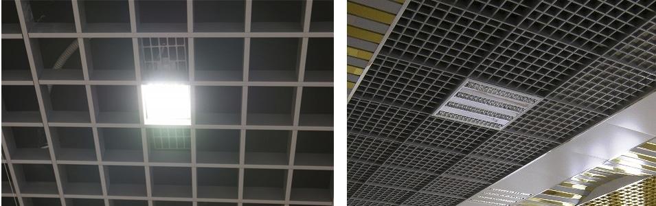 Installé au bord des points et des chaumes des lignes lumineuses de taille forestière standard