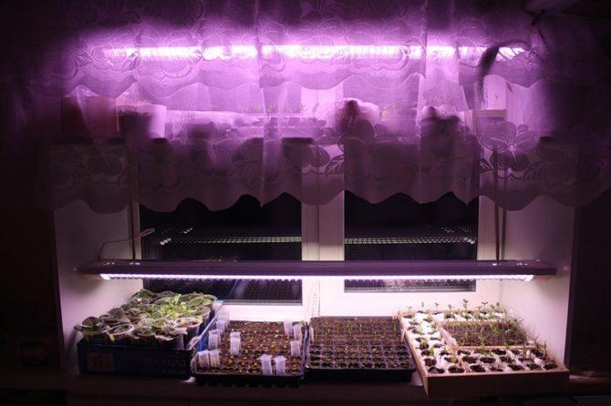 Eclairage artificiel