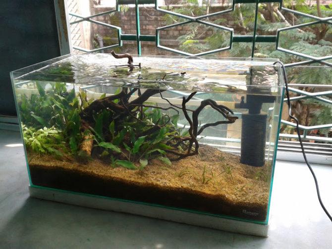 Aquarium, éclairage solaire