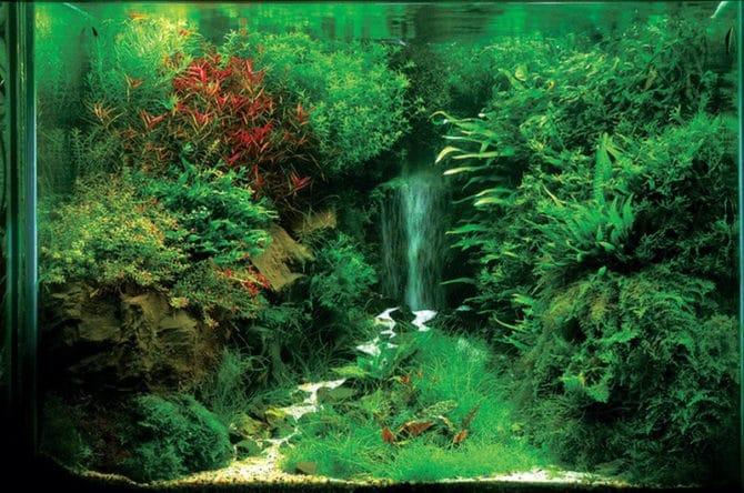 mise en scène de Svetlina