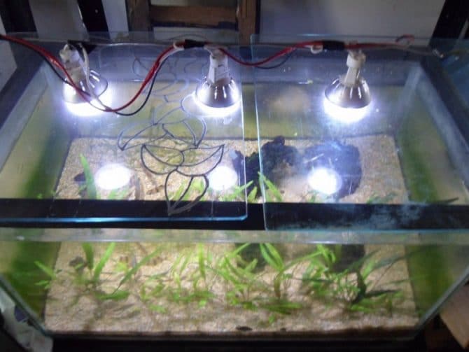 Clarification halogène