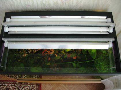 Eclaircissement fluorescent