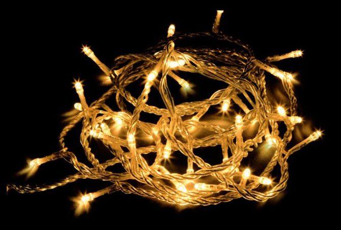 Modèles avec niches leky