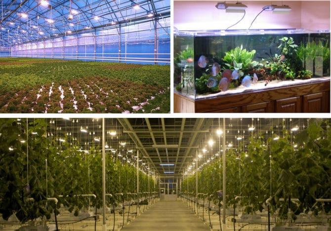 éclairage supplémentaire pour plantes et éclairage pour aquariums