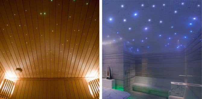 utiliser sur les lampes optiques vv vanata