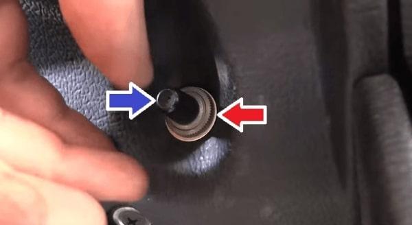 Premahvane sur un bourgeon pour un nullirane